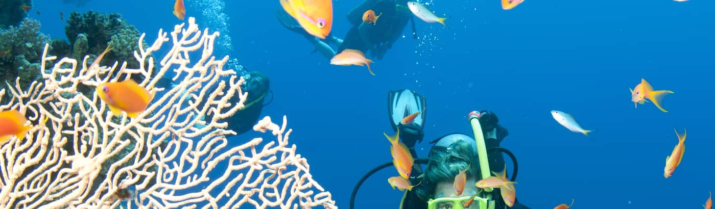 Adventure Packages